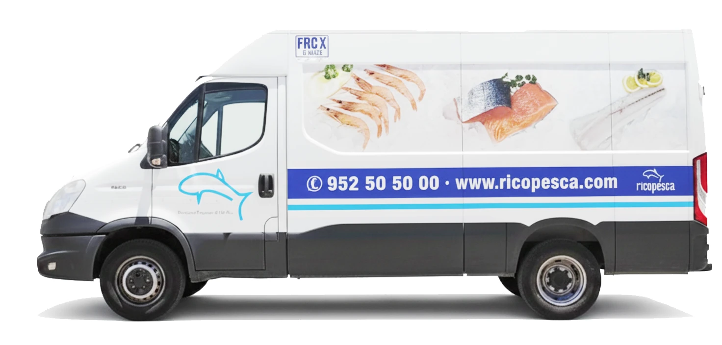 Camión refrigerado de Ricopesca para reparto profesional de productos del mar congelados en Málaga